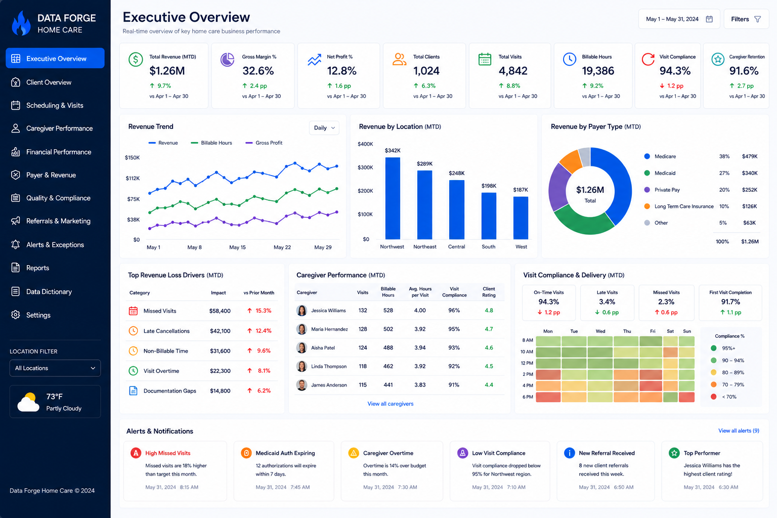 Data Forge home care executive report mockup